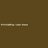Mittelm&auml;&szlig;ige Leder-Kanne
