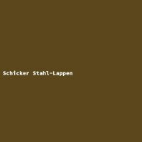 Schicker Stahl-Lappen